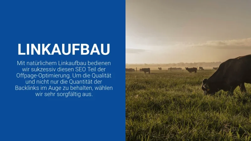 Videovorschau: BFSG Compliance Check erklärt - Wender Media