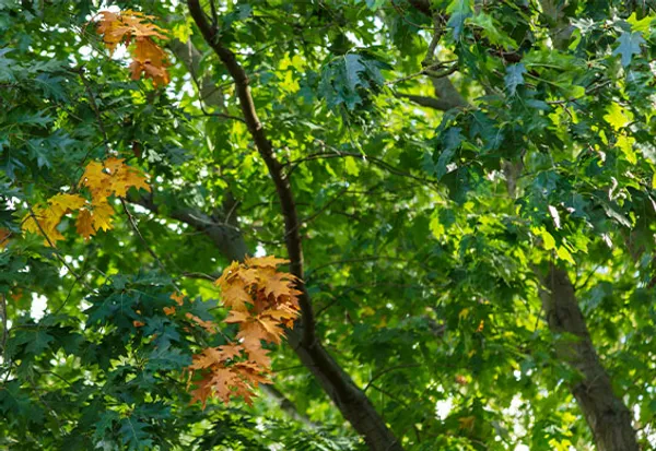 Professionelles Online-Marketing für Karriereberater bei Wender Media