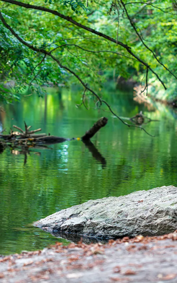 SEO-optimiertes Webdesign aus Halle