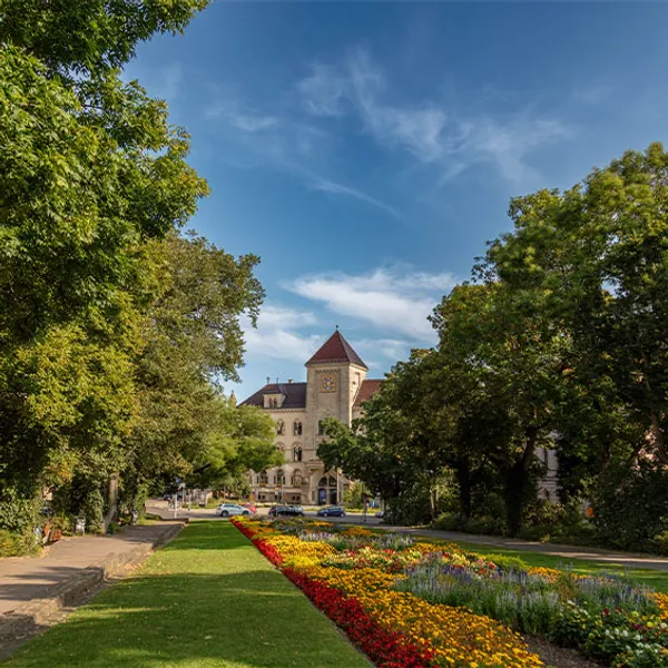 Technisch überzeugende Webentwicklung für IT-Dienstleister bei Wender Media
