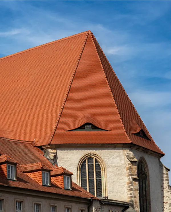 Professionelle Webentwicklung für SaaS-Unternehmen bei Wender Media